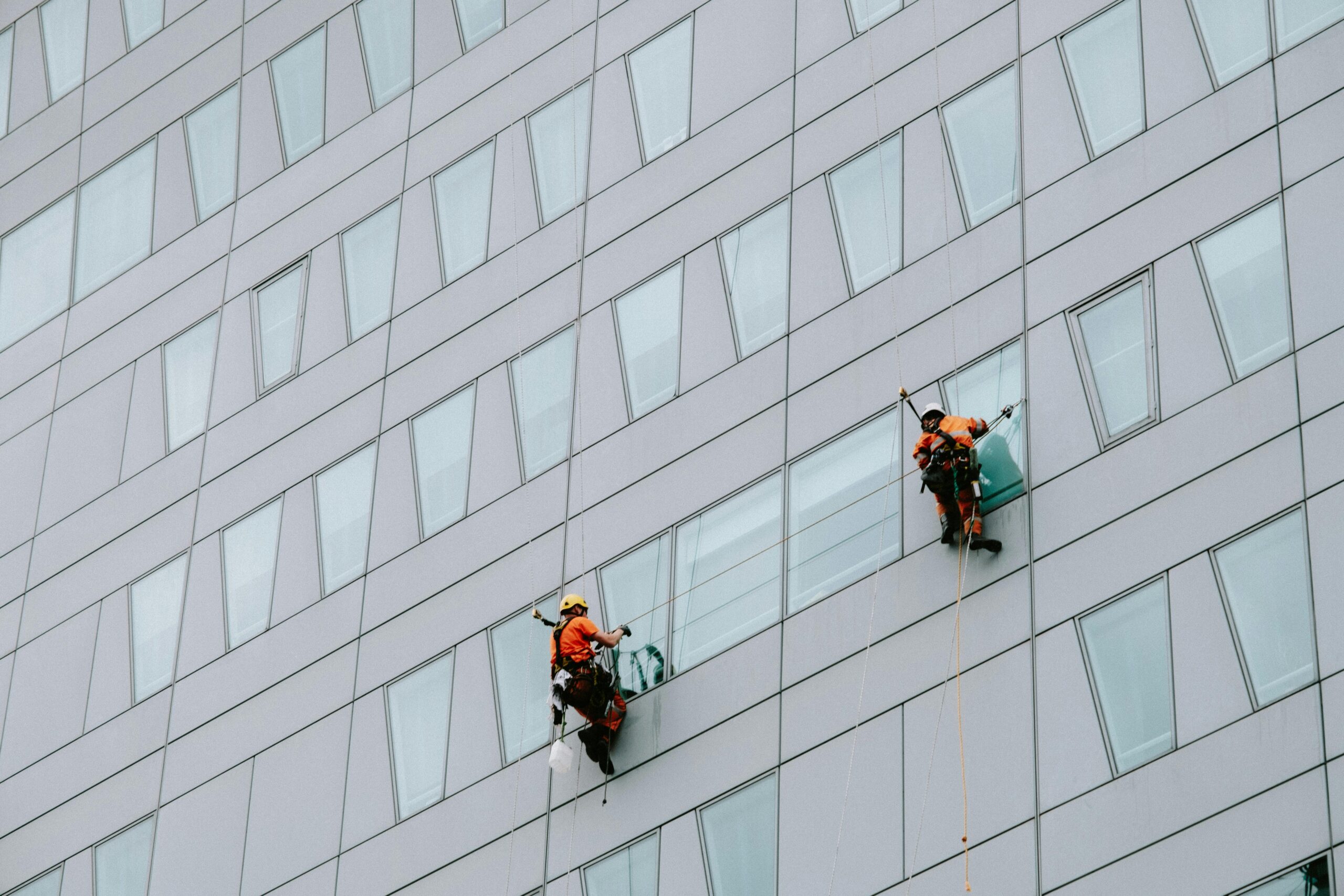 Cleaning Business history and evolution over time